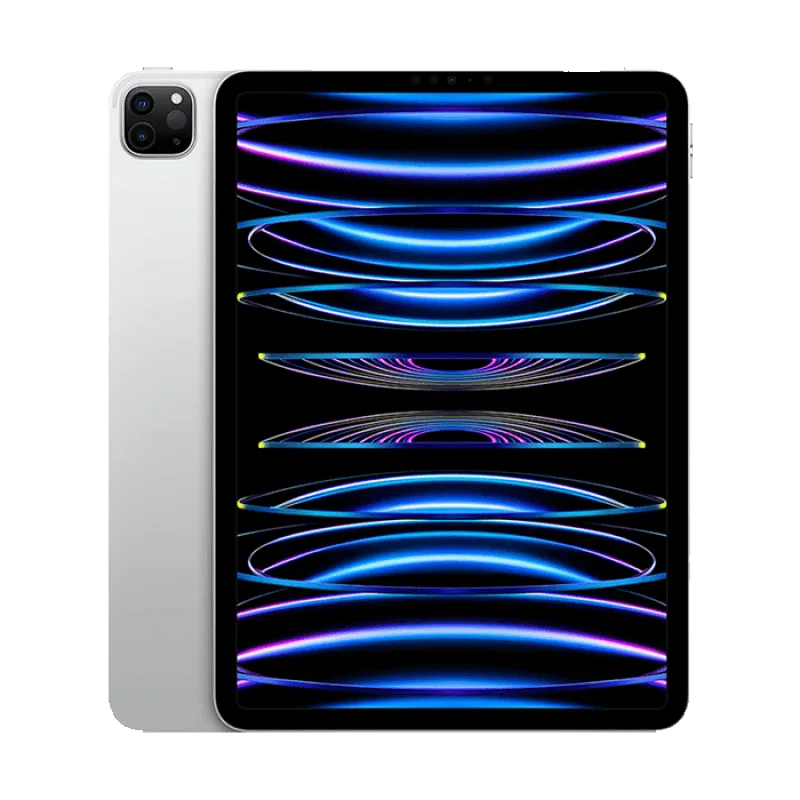 iPad Pro 11" 4th Gen (WiFi Only)